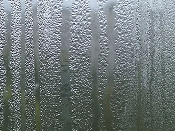 Misted & Condensation on Double Glazed Window